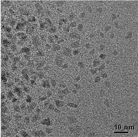 TEM images of Co-NPs prepared by the polyol process
