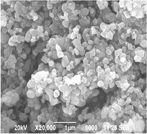 SEM image of calcium oxide nanoparticles