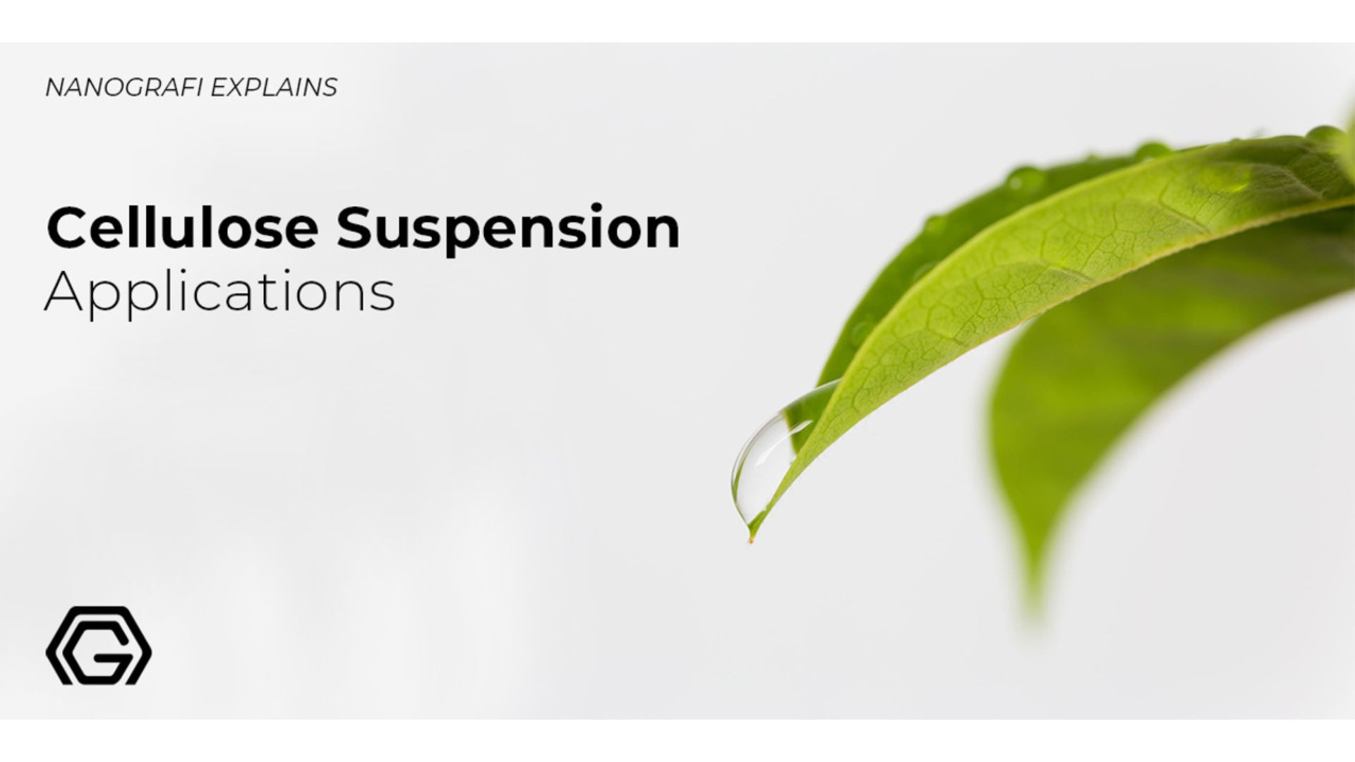 Cellulose suspension applications